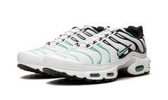 Air Max Plus "Atmos" 604133 148