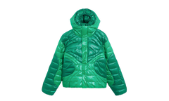 Sportswear Tech Pack Therma-FIT ADV Hooded Jacket "Stadium Green / Malachite" FB7423 324