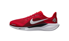 Air Zoom Pegasus 41 "Ohio State" IB3254-600