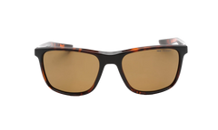 Essential Endeavor Polarized Sunglasses "Tortoise / Brown" EV1124 220