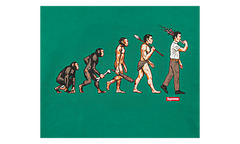 Evolution Tee "SS26 - Light Pine" SU27046